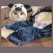 ヒメ日記 2025/12/29 08:30 投稿 あおい Fの法則