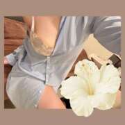 ヒメ日記 2026/03/14 15:00 投稿 あおい Fの法則