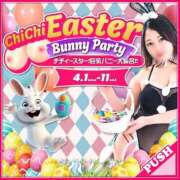 ヒメ日記 2026/04/09 08:30 投稿 あおい Fの法則