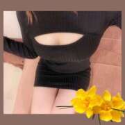 ヒメ日記 2026/04/10 08:45 投稿 あおい Fの法則