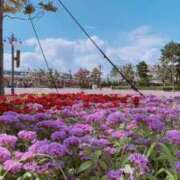 ヒメ日記 2025/01/28 17:31 投稿 なぎさ GlamourGlamour (グラマーグラマー)