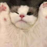 ヒメ日記 2025/07/22 20:27 投稿 もな しろうとCollection