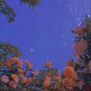 ヒメ日記 2025/09/18 20:27 投稿 もな しろうとCollection