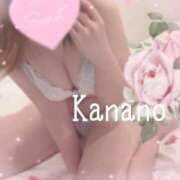 ヒメ日記 2025/04/30 12:03 投稿 かなの【素直で性格◎】 仙台大人の秘密倶楽部