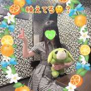 ヒメ日記 2025/04/24 13:44 投稿 まなか 船橋悶絶ビーチクびんびん物語