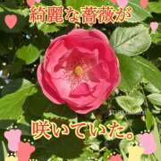 ヒメ日記 2025/05/08 23:22 投稿 まなか 船橋悶絶ビーチクびんびん物語