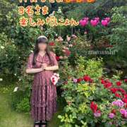 ヒメ日記 2025/05/23 11:48 投稿 まなか 船橋悶絶ビーチクびんびん物語