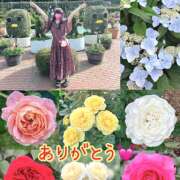 ヒメ日記 2025/07/22 22:53 投稿 まなか 船橋悶絶ビーチクびんびん物語