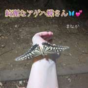 ヒメ日記 2025/08/25 16:04 投稿 まなか 船橋悶絶ビーチクびんびん物語