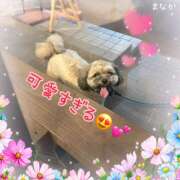 ヒメ日記 2025/09/10 23:48 投稿 まなか 船橋悶絶ビーチクびんびん物語