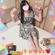 ヒメ日記 2025/09/19 11:42 投稿 まなか 船橋悶絶ビーチクびんびん物語