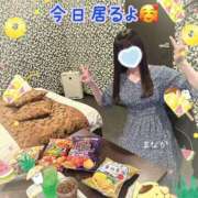 ヒメ日記 2026/02/14 03:07 投稿 まなか 船橋悶絶ビーチクびんびん物語