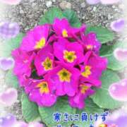 ヒメ日記 2026/02/14 22:07 投稿 まなか 船橋悶絶ビーチクびんびん物語