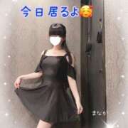 ヒメ日記 2026/03/12 11:27 投稿 まなか 船橋悶絶ビーチクびんびん物語