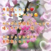 ヒメ日記 2026/04/05 08:17 投稿 まなか 船橋悶絶ビーチクびんびん物語