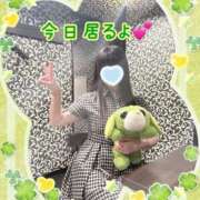 ヒメ日記 2026/04/24 12:47 投稿 まなか 船橋悶絶ビーチクびんびん物語