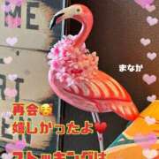 ヒメ日記 2026/05/26 21:27 投稿 まなか 船橋悶絶ビーチクびんびん物語