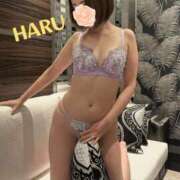 ヒメ日記 2025/03/03 01:32 投稿 はる セレブコレクション赤坂