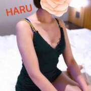 ヒメ日記 2025/03/07 16:46 投稿 はる セレブコレクション赤坂