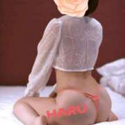 ヒメ日記 2025/04/03 19:14 投稿 はる セレブコレクション赤坂