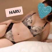 ヒメ日記 2025/05/04 04:13 投稿 はる セレブコレクション赤坂