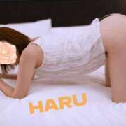 ヒメ日記 2025/05/20 19:27 投稿 はる セレブコレクション赤坂