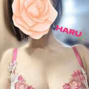 ヒメ日記 2025/05/22 02:58 投稿 はる セレブコレクション赤坂