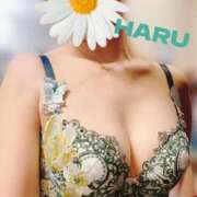 ヒメ日記 2025/06/20 01:44 投稿 はる セレブコレクション赤坂