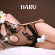 ヒメ日記 2025/07/23 03:19 投稿 はる セレブコレクション赤坂