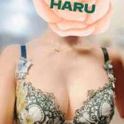 ヒメ日記 2025/07/24 03:43 投稿 はる セレブコレクション赤坂