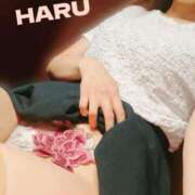 ヒメ日記 2025/07/27 03:20 投稿 はる セレブコレクション赤坂