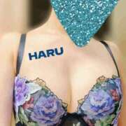 ヒメ日記 2025/07/30 03:52 投稿 はる セレブコレクション赤坂