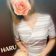 ヒメ日記 2025/08/15 03:11 投稿 はる セレブコレクション赤坂