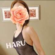 ヒメ日記 2025/09/15 02:44 投稿 はる セレブコレクション赤坂