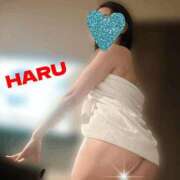 ヒメ日記 2025/09/17 03:01 投稿 はる セレブコレクション赤坂