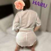 ヒメ日記 2025/10/08 04:48 投稿 はる セレブコレクション赤坂