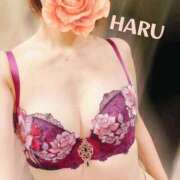 ヒメ日記 2025/10/23 02:55 投稿 はる セレブコレクション赤坂