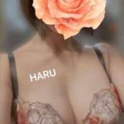 ヒメ日記 2025/10/31 20:58 投稿 はる セレブコレクション赤坂