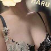 ヒメ日記 2025/11/01 18:40 投稿 はる セレブコレクション赤坂