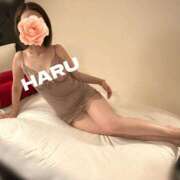 ヒメ日記 2025/11/07 19:39 投稿 はる セレブコレクション赤坂