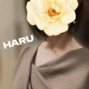 ヒメ日記 2025/11/12 03:28 投稿 はる セレブコレクション赤坂