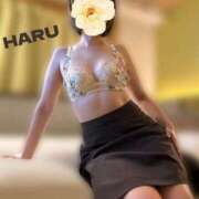 ヒメ日記 2025/11/25 20:07 投稿 はる セレブコレクション赤坂