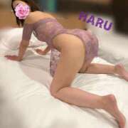 ヒメ日記 2025/11/28 04:28 投稿 はる セレブコレクション赤坂