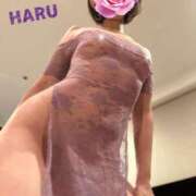 ヒメ日記 2025/11/29 18:49 投稿 はる セレブコレクション赤坂