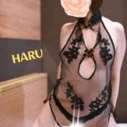 ヒメ日記 2025/12/28 04:08 投稿 はる セレブコレクション赤坂