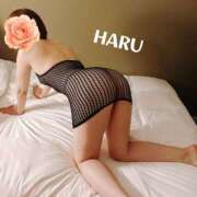 ヒメ日記 2026/01/14 20:02 投稿 はる セレブコレクション赤坂