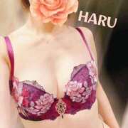 ヒメ日記 2026/02/03 19:41 投稿 はる セレブコレクション赤坂