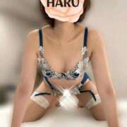 ヒメ日記 2026/02/05 04:15 投稿 はる セレブコレクション赤坂