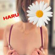 ヒメ日記 2026/02/16 19:22 投稿 はる セレブコレクション赤坂