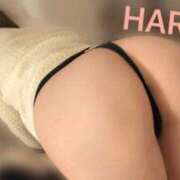 ヒメ日記 2026/02/19 02:37 投稿 はる セレブコレクション赤坂